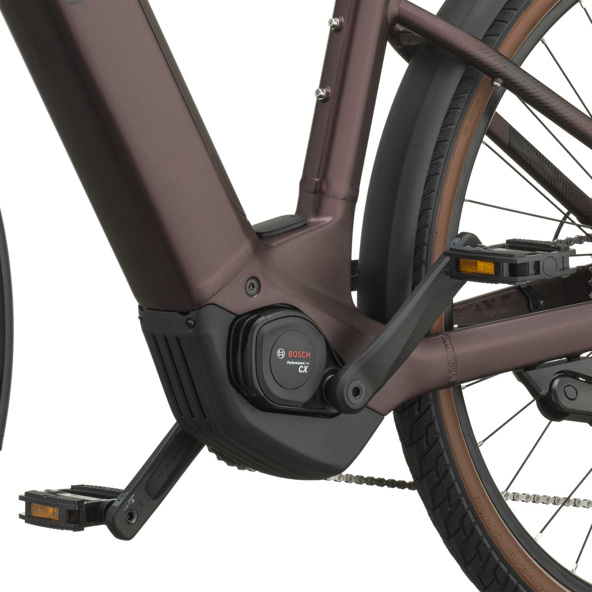 Bergamont Horizon Sport 10 Wave - aubergine red