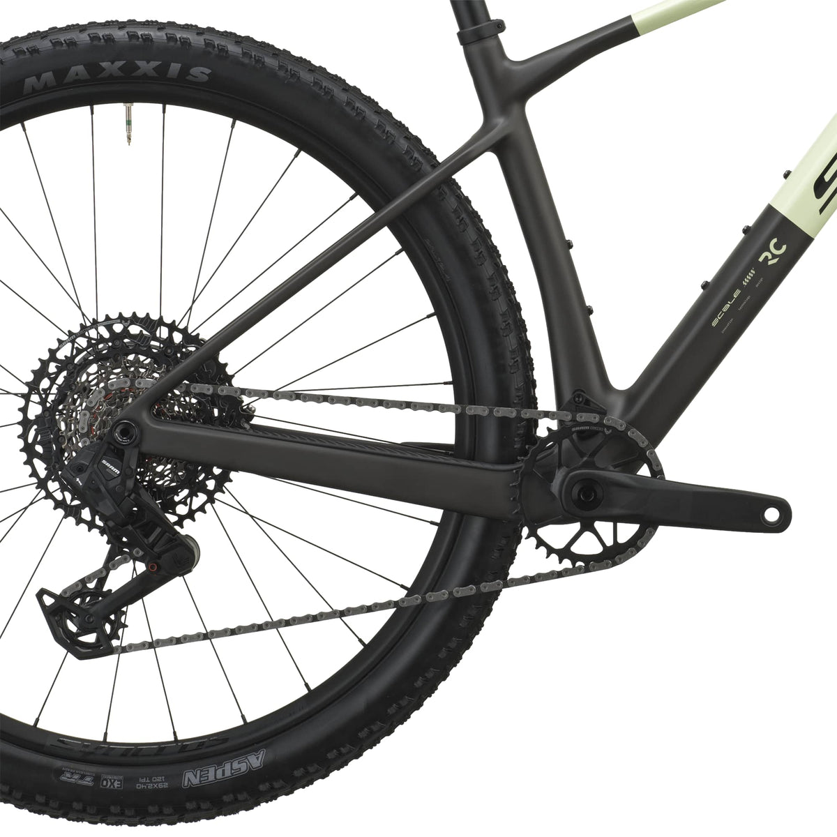 SCOTT Scale RC Team (2027) - cream green/carbon black