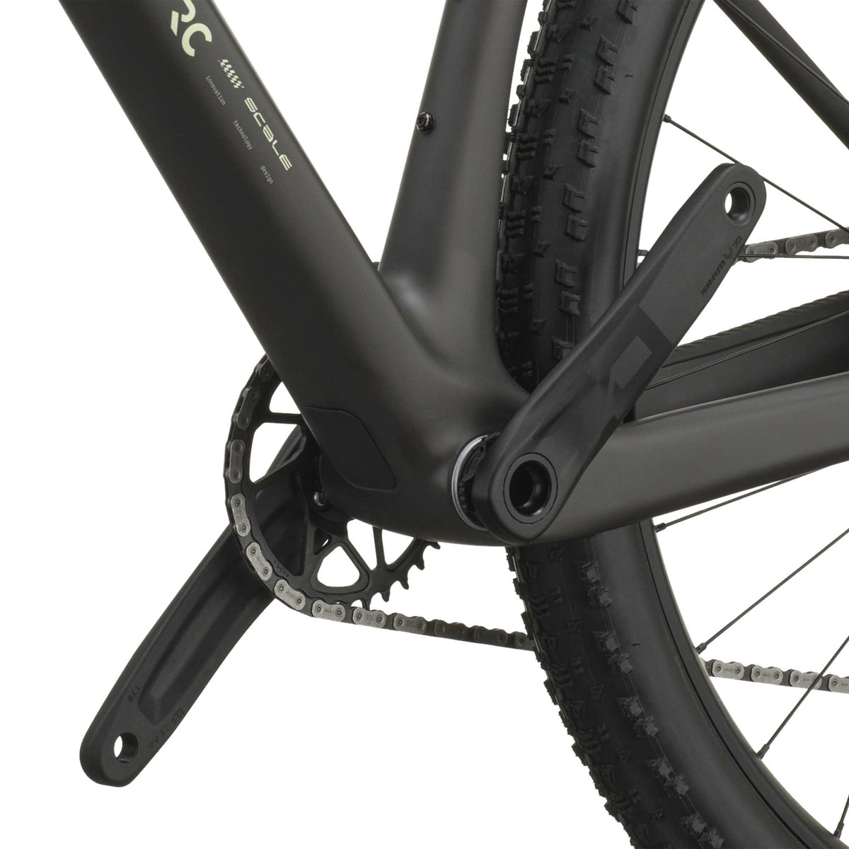 SCOTT Scale RC Team (2027) - cream green/carbon black