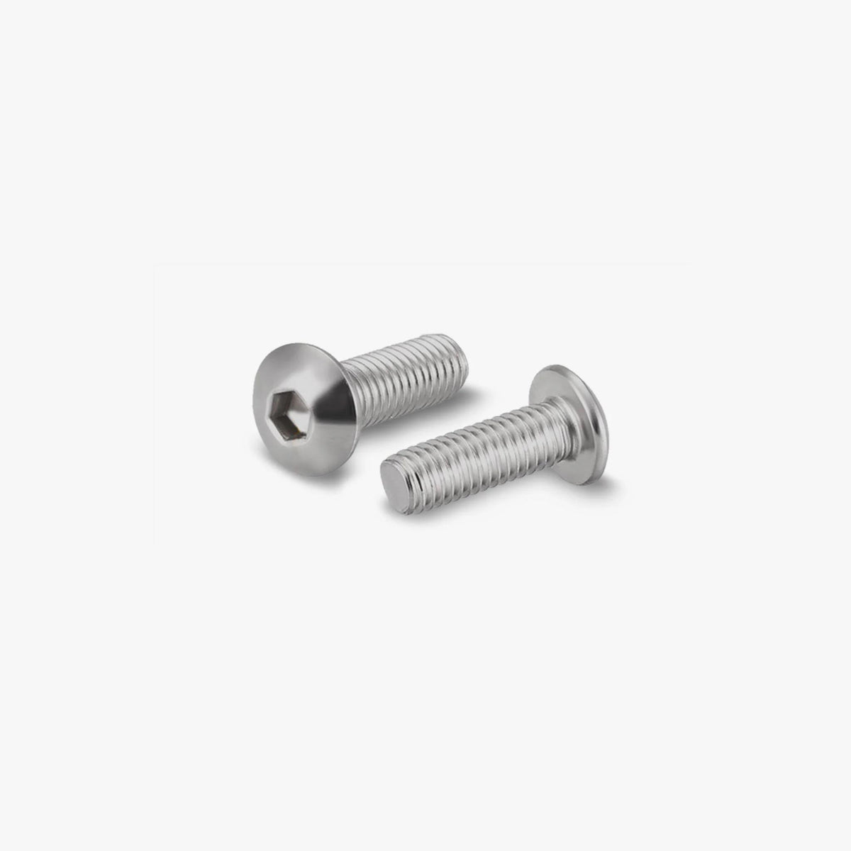 bivo Screw Set