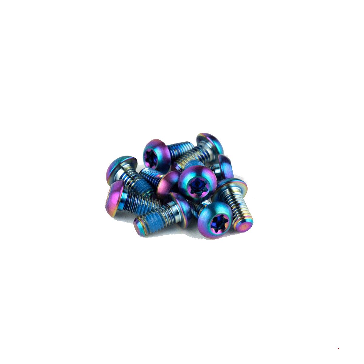 SRAM Rotor Bolt Kit - Titanium T25 Bolts (Qty 12)