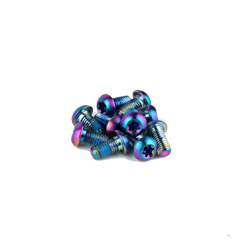 SRAM Rotor Bolt Kit - Titanium T25 Bolts (Qty 12)