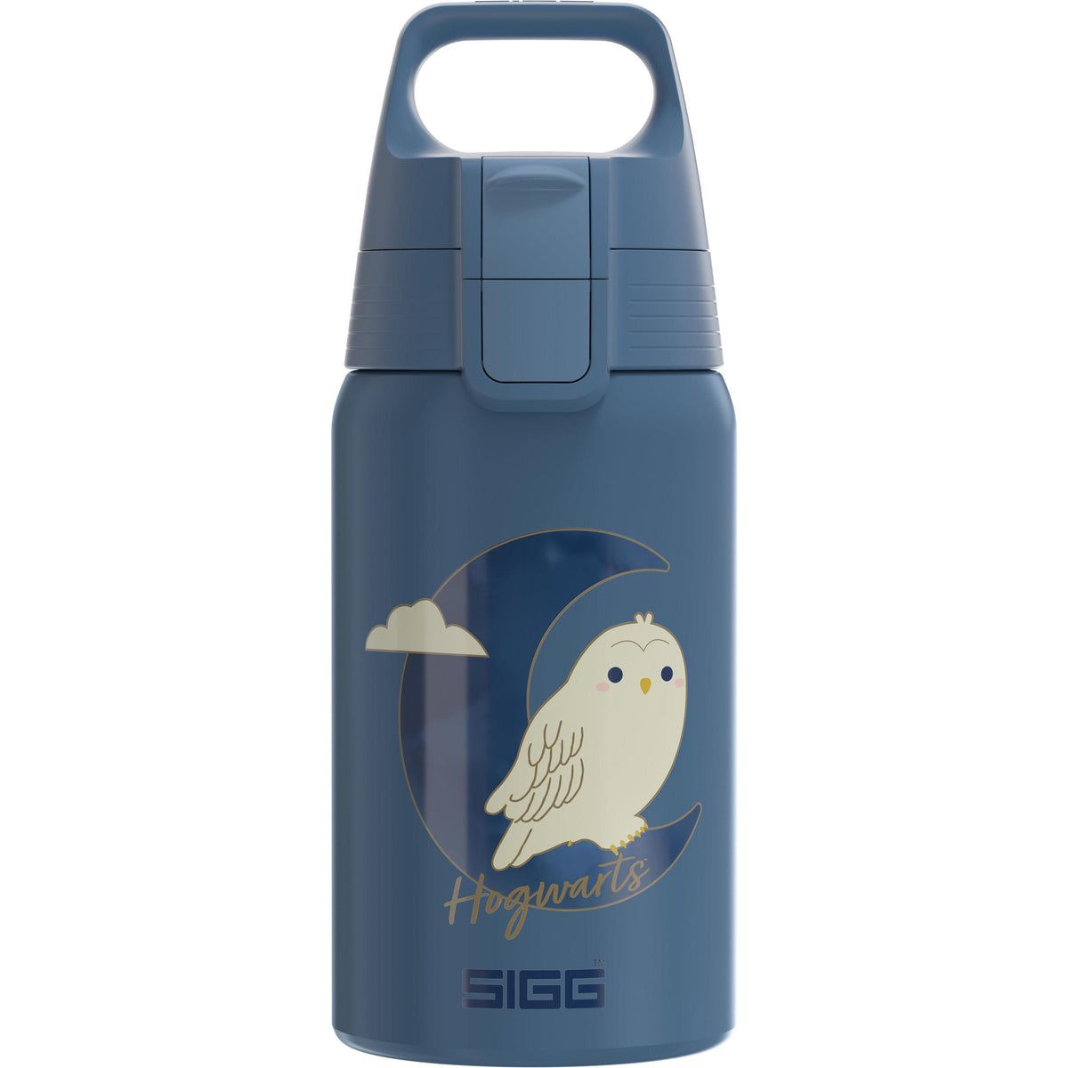 Sigg Shield One Bottle 2026 - 500ML