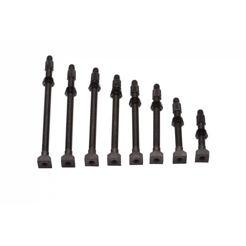 ENVE Tubeless Valves Single