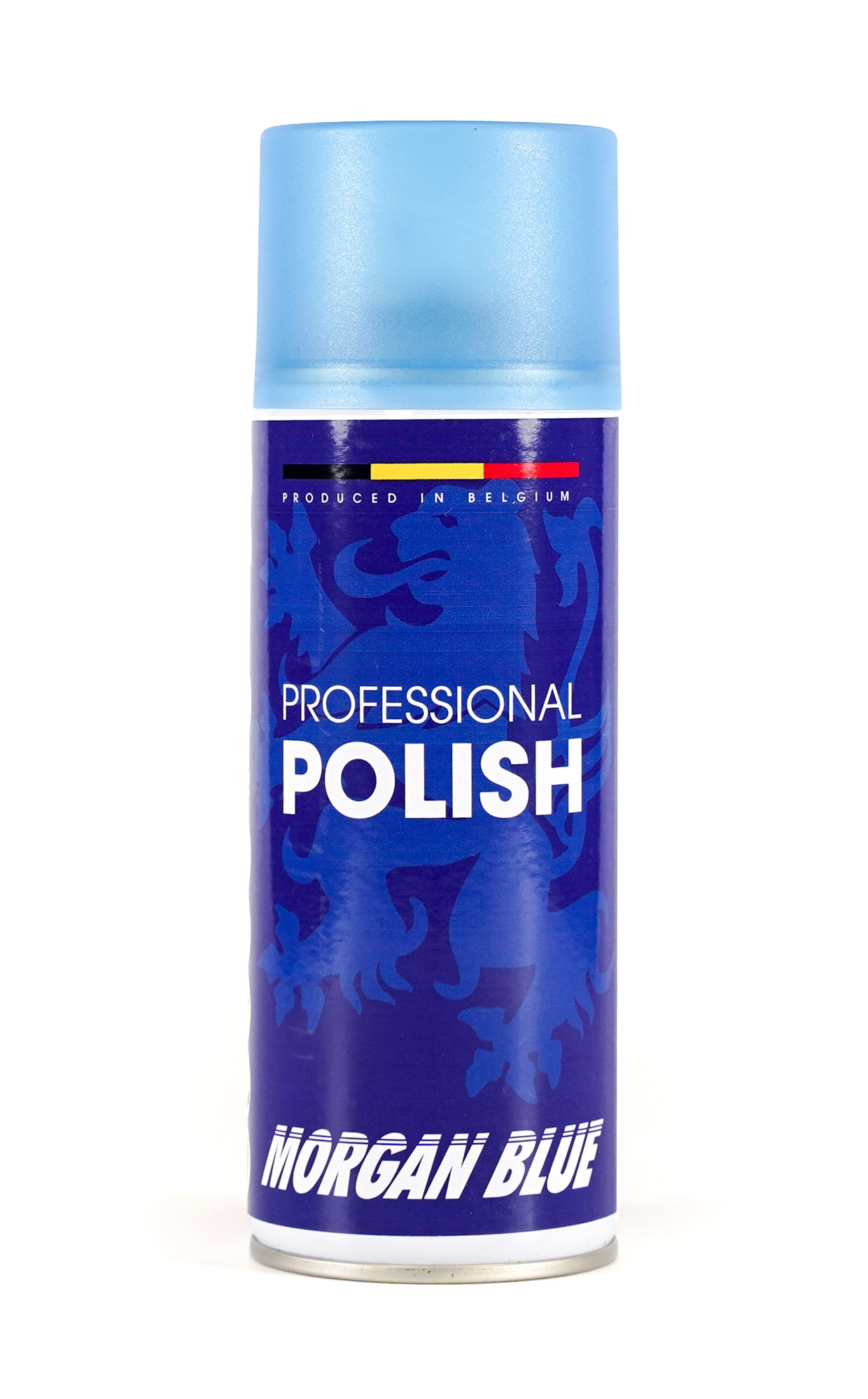 Polish (400cc, Aerosol)